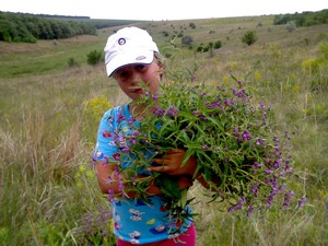 Лечение гриппа травами